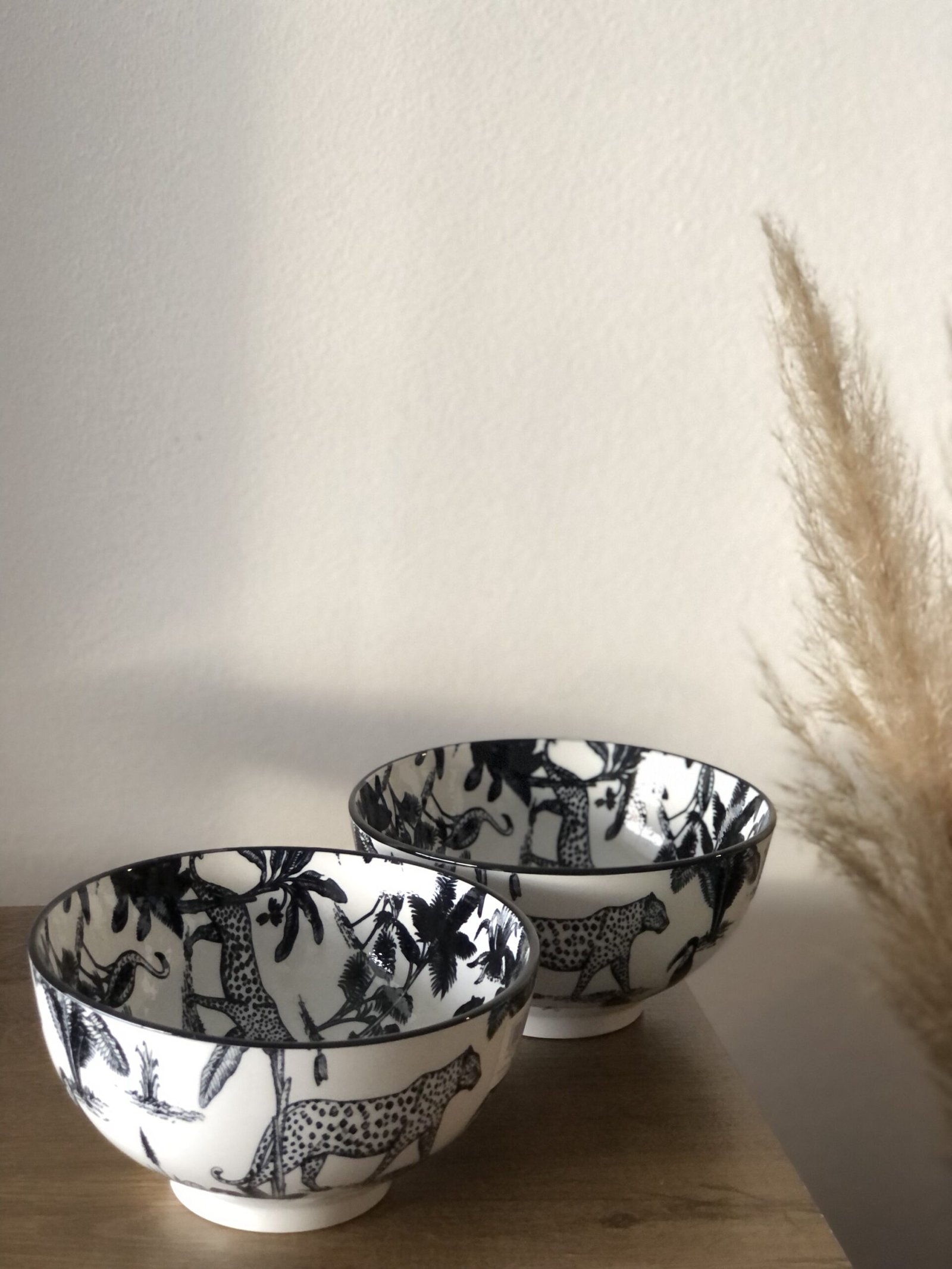 Bowls Dise O Selva Ameli Bazar Deco